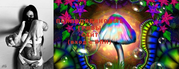 бошки Абдулино