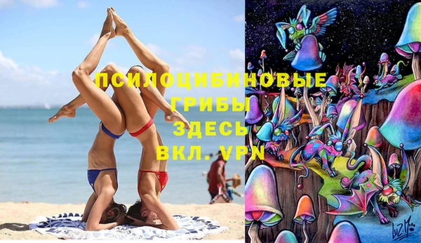 каннабис Майский